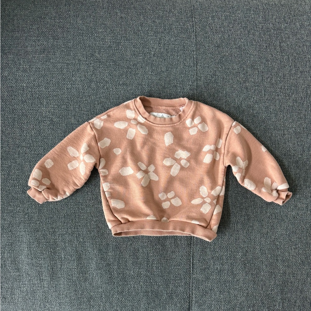 Zara Toddler Girls Pink Floral Sweatshirt 2T